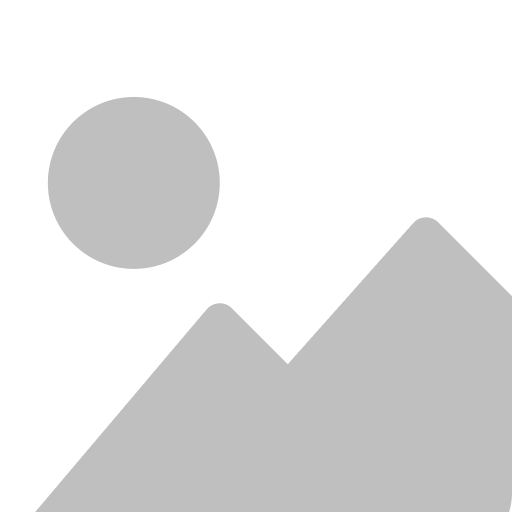 Financial Manager